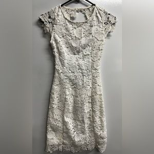 Lulu Backless Lace Dress